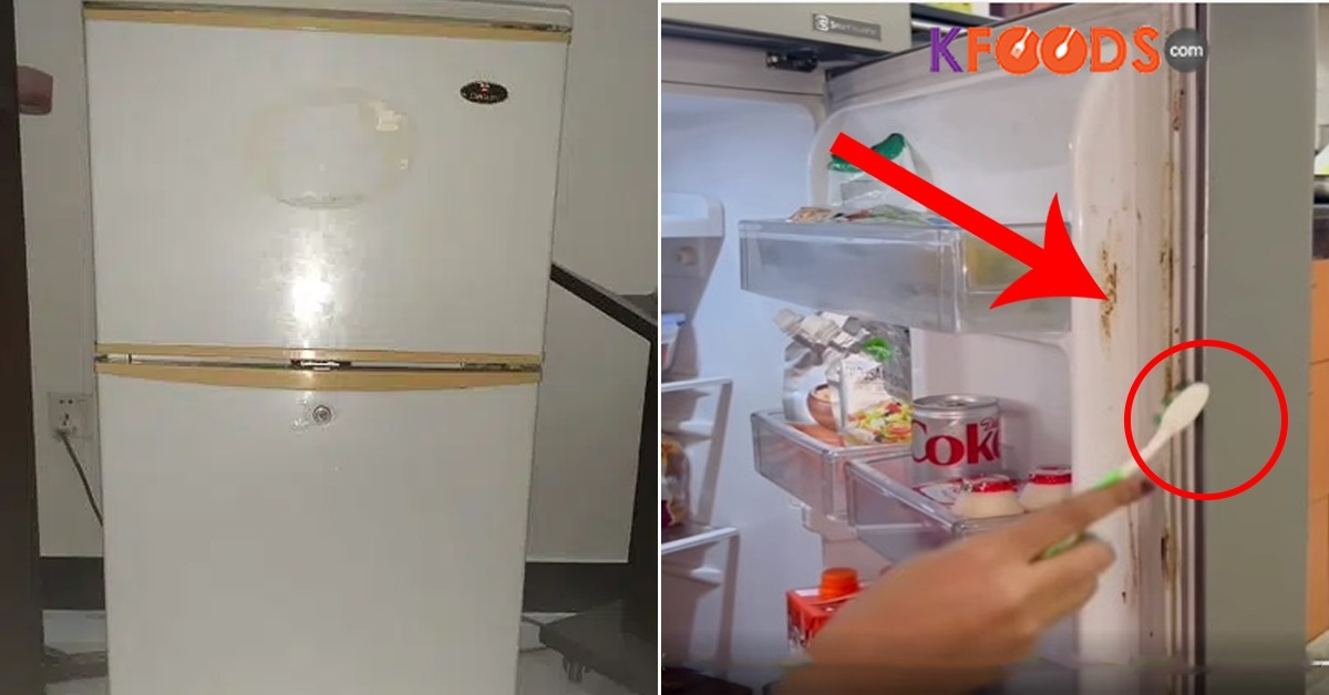 Fridge Saaf Karne Ka Sahi Tarika In Urdu Remedy Benefits Gharelo